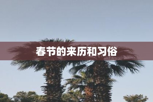 春节的来历和习俗