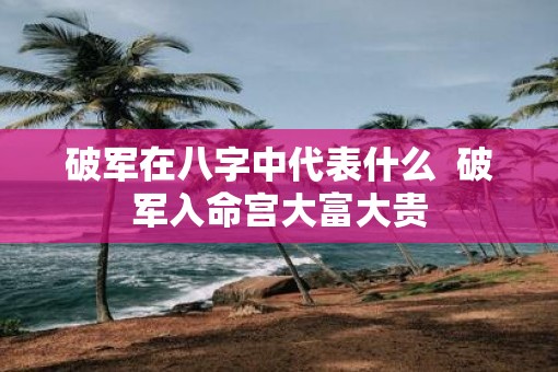 破军在八字中代表什么  破军入命宫大富大贵