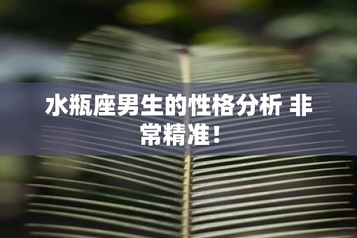 水瓶座男生的性格分析 非常精准！
