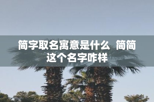 简字取名寓意是什么  简简这个名字咋样