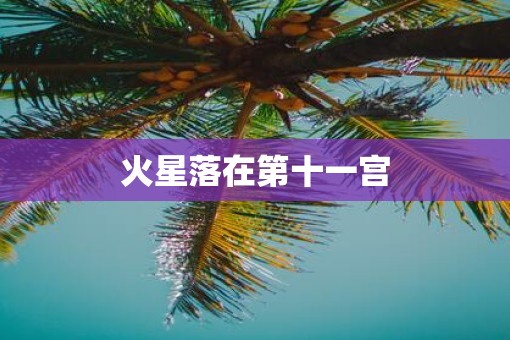 火星落在第十一宫