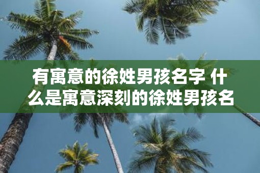 有寓意的徐姓男孩名字 什么是寓意深刻的徐姓男孩名字 有寓意的徐姓男孩名字 什么是寓意深刻的徐姓男孩名字