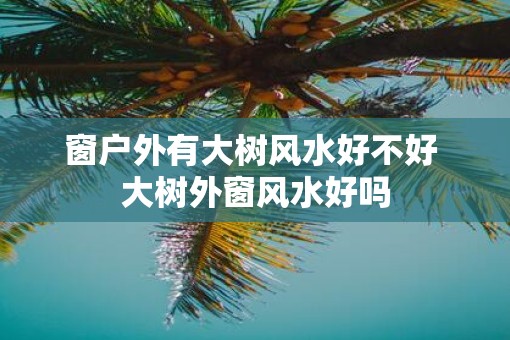 窗户外有大树风水好不好 大树外窗风水好吗