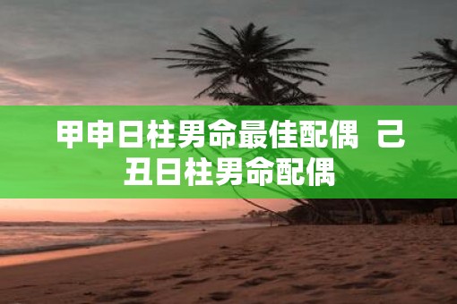 甲申日柱男命最佳配偶  己丑日柱男命配偶