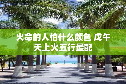 火命的人怕什么颜色 戊午天上火五行最配