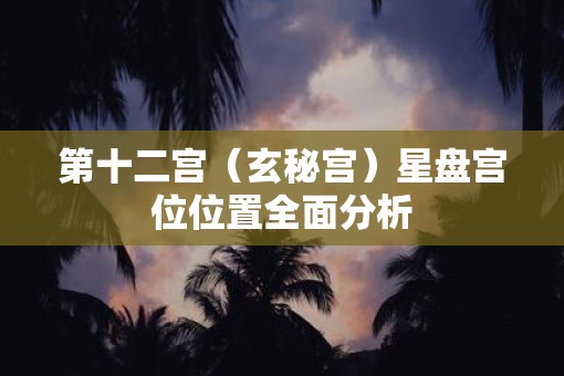 第十二宫（玄秘宫）星盘宫位位置全面分析