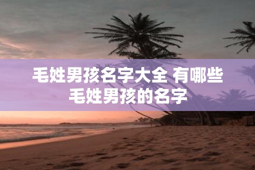 毛姓男孩名字大全 有哪些毛姓男孩的名字
