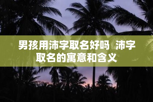 男孩用沛字取名好吗  沛字取名的寓意和含义