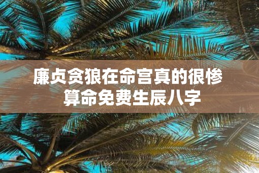 廉贞贪狼在命宫真的很惨  算命免费生辰八字