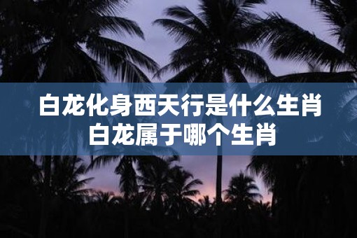 白龙化身西天行是什么生肖 白龙属于哪个生肖