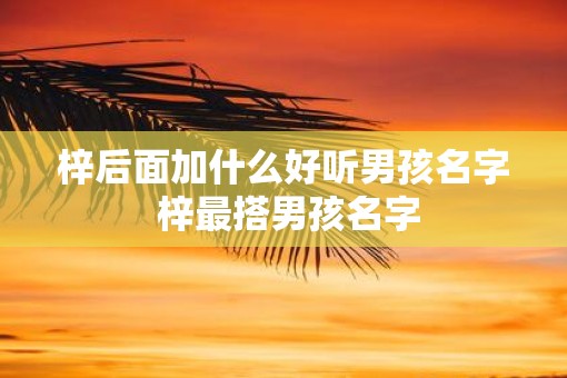 梓后面加什么好听男孩名字 梓最搭男孩名字