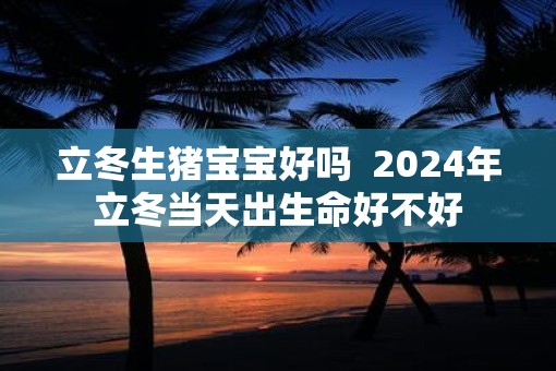 立冬生猪宝宝好吗  2025年立冬当天出生命好不好