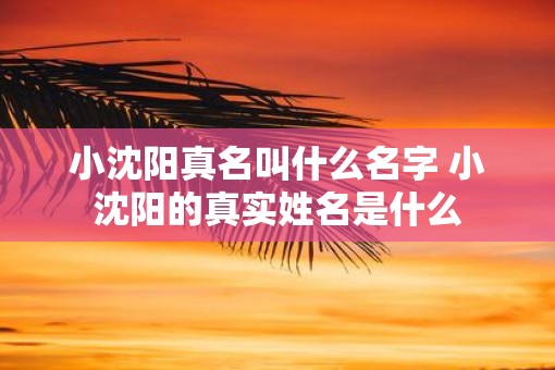 小沈阳真名叫什么名字 小沈阳的真实姓名是什么