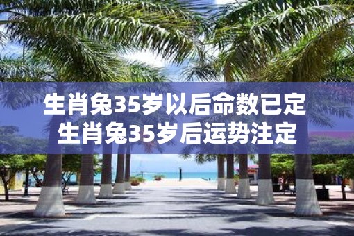 生肖兔35岁以后命数已定 生肖兔35岁后运势注定