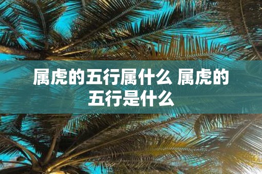 属虎的五行属什么 属虎的五行是什么