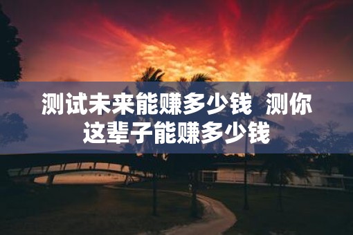 测试未来能赚多少钱  测你这辈子能赚多少钱