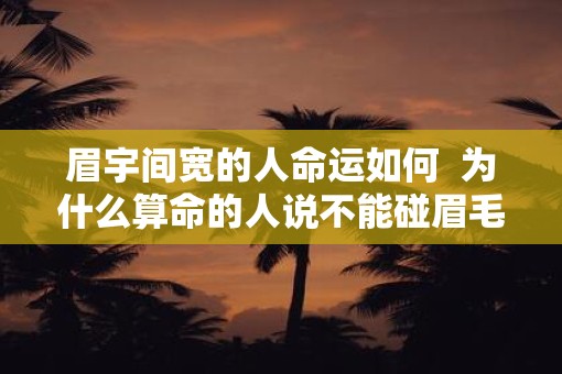 眉宇间宽的人命运如何  为什么算命的人说不能碰眉毛