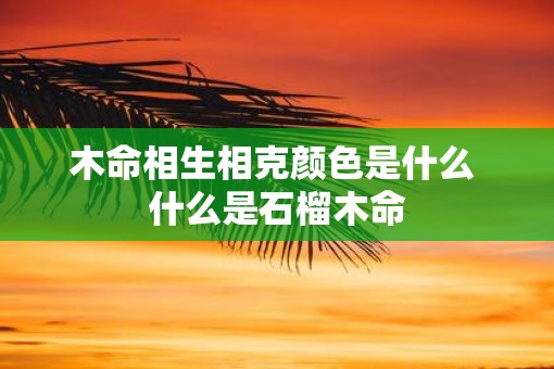 木命相生相克颜色是什么 什么是石榴木命