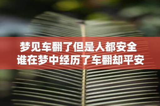 梦见车翻了但是人都安全 谁在梦中经历了车翻却平安无事