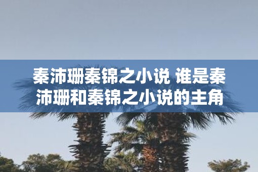 秦沛珊秦锦之小说 谁是秦沛珊和秦锦之小说的主角