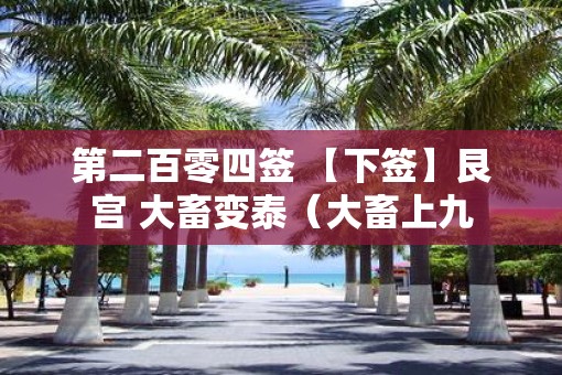 第二百零四签 【下签】艮宫 大畜变泰（大畜上九