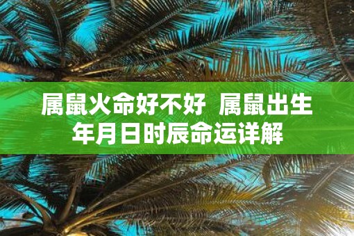 属鼠火命好不好  属鼠出生年月日时辰命运详解