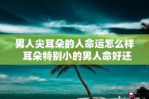男人尖耳朵的人命运怎么样  耳朵特别小的男人命好还是命苦