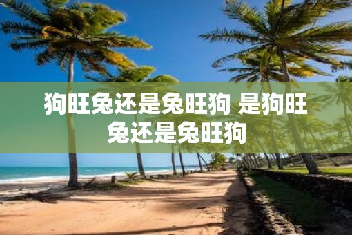 狗旺兔还是兔旺狗 是狗旺兔还是兔旺狗
