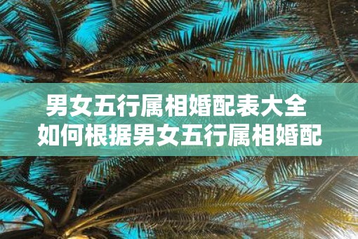 男女五行属相婚配表大全 如何根据男女五行属相婚配表匹配正确配偶