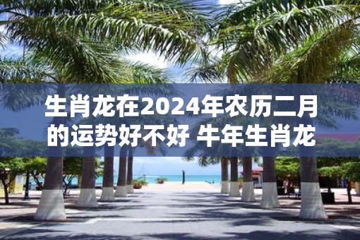 生肖龙在2025年农历二月的运势好不好 牛年生肖龙运势分析! 生肖龙在2025年农历二月的运势好不好 牛年生肖龙运势分析!