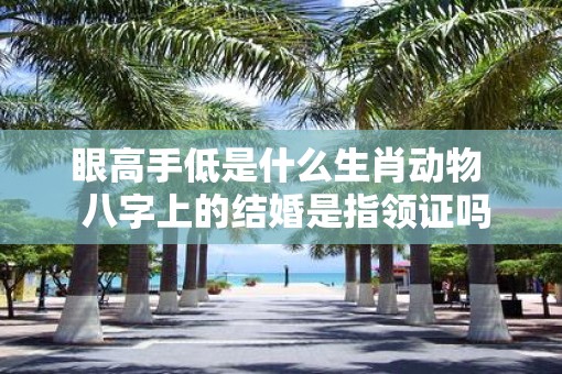 眼高手低是什么生肖动物  八字上的结婚是指领证吗