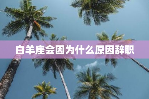 白羊座会因为什么原因辞职