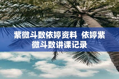 紫微斗数依婷资料  依婷紫微斗数讲课记录