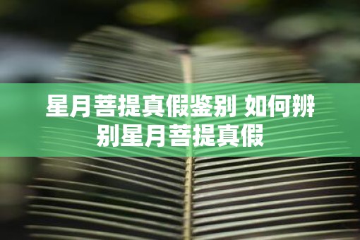 星月菩提真假鉴别 如何辨别星月菩提真假