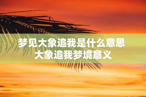 梦见大象追我是什么意思 大象追我梦境意义