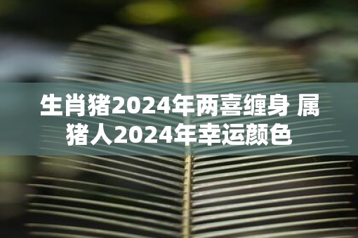 生肖猪2025年两喜缠身 属猪人2025年幸运颜色