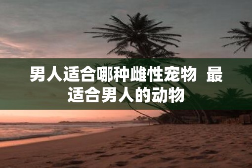 男人适合哪种雌性宠物  最适合男人的动物