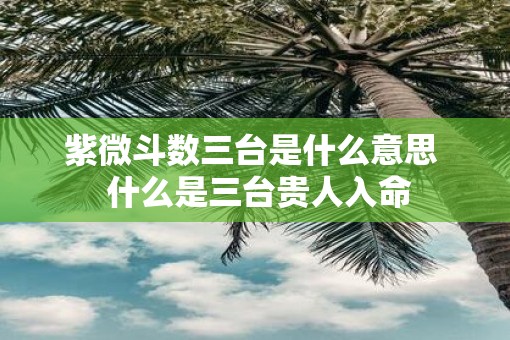 紫微斗数三台是什么意思  什么是三台贵人入命