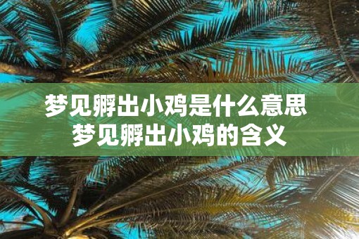 梦见孵出小鸡是什么意思 梦见孵出小鸡的含义