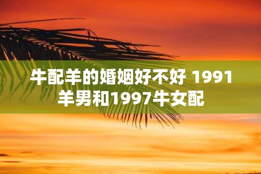 牛配羊的婚姻好不好 1991羊男和1997牛女配