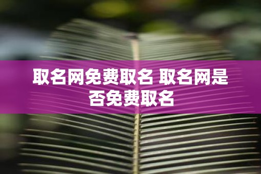 取名网免费取名 取名网是否免费取名