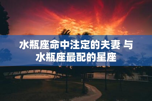 水瓶座命中注定的夫妻 与水瓶座最配的星座