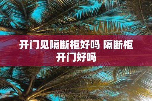 开门见隔断柜好吗 隔断柜开门好吗