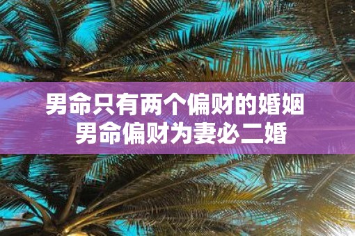 男命只有两个偏财的婚姻  男命偏财为妻必二婚