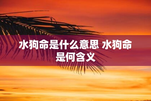 水狗命是什么意思 水狗命是何含义