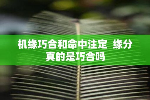 机缘巧合和命中注定  缘分真的是巧合吗