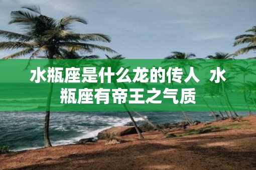 水瓶座是什么龙的传人  水瓶座有帝王之气质