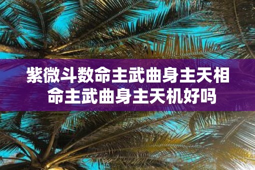 紫微斗数命主武曲身主天相  命主武曲身主天机好吗