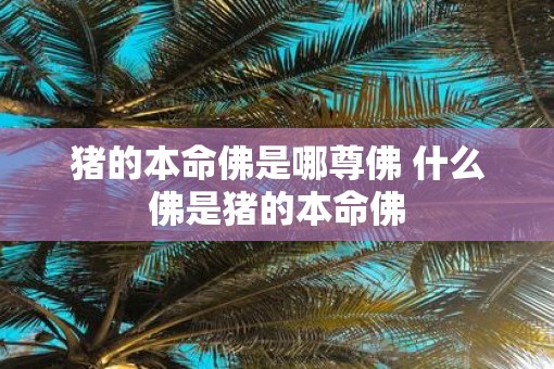 猪的本命佛是哪尊佛 什么佛是猪的本命佛