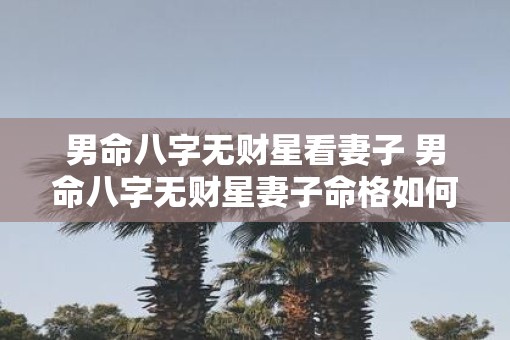 男命八字无财星看妻子 男命八字无财星妻子命格如何